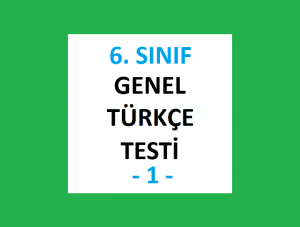 6. Sınıf Genel Türkçe Testi