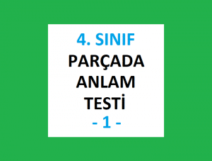 4. Sınıf Parçada Anlam Testi