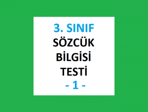 3. Sınıf Türkçe Sözcük Bilgisi Testi