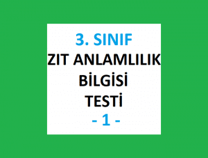 3. Sınıf Zıt Anlamlılık Testi
