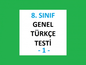 8. Sınıf Genel Türkçe Testi