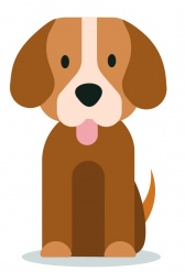 1. Sınıf Hayat Bilgisi Doğada Hayat – 2