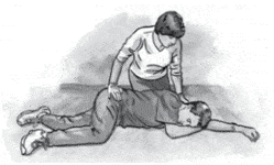 Ehliyet Sınav Soruları - 24 Ekim 2024