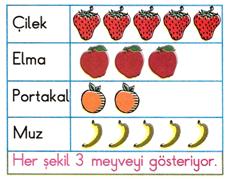2. Sınıf Matematik Nesne Grafiği Ve Tablo – 3