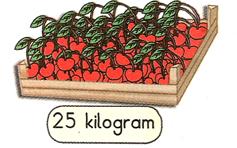 2. Sınıf Matematik Tartma