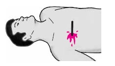 Ehliyet Sınav Soruları - 11 Haziran 2024