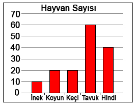 4. Sınıf Matematik Veri Toplama ve Değerlendirme