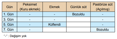 5. Sınıf Fen Bilimleri Canlıların Yapısına Yolculuk