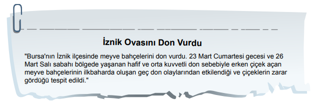 5. Sınıf Fen Bilimleri Canlıların Yapısına Yolculuk