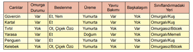 5. Sınıf Fen Bilimleri Canlıların Yapısına Yolculuk