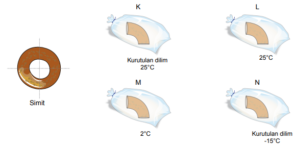 5. Sınıf Fen Bilimleri Canlıların Yapısına Yolculuk