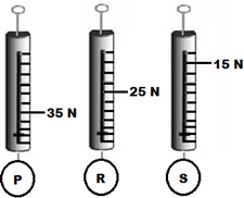 5. Sınıf Fen Bilimleri Kuvveti Tanıyalım – 2