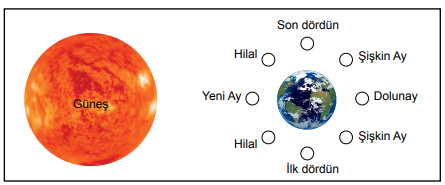 5. Sınıf Fen Bilimleri Gökyüzündeki Komşularımız ve Biz