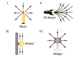 5. Sınıf Fen Bilimleri Işığın Dünyası