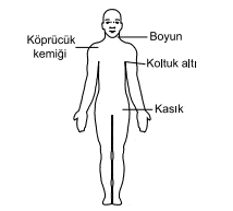 Ehliyet Sınav Soruları - 9 Eylül 2025