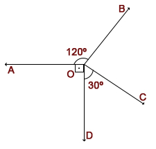 6. Sınıf Matematik Açılar