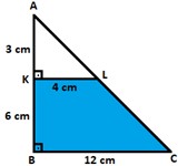 6. Sınıf Matematik Alan Ölçme – 3