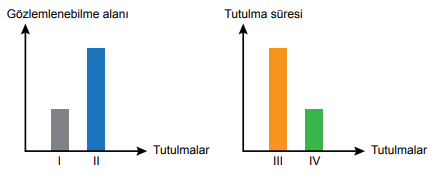 6. Sınıf Fen Bilimleri Güneş Sistemi ve Tutulmalar