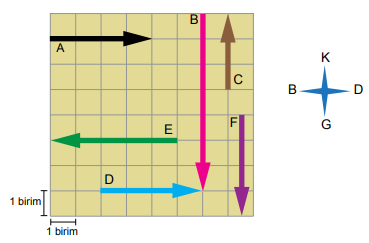 6. Sınıf Fen Bilimleri Kuvvet ve Hareket