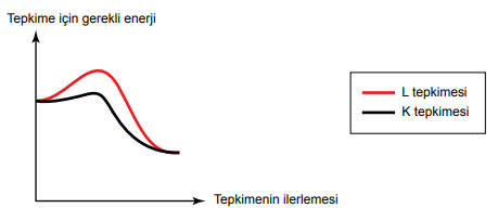 6. Sınıf Fen Bilimleri Vücudumuzdaki Sistemler