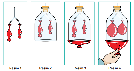 6. Sınıf Fen Bilimleri Vücudumuzdaki Sistemler