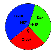 7. Sınıf Matematik Çember ve Daire