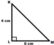 8. Sınıf Matematik Doğrusal Denklemler Testi