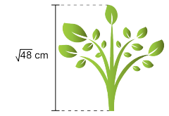 8. Sınıf Matematik Kareköklü İfadeler Testi
