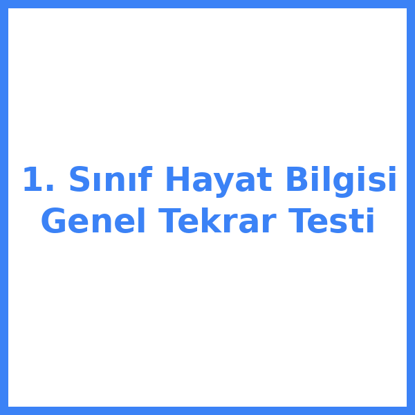 1. Sınıf Hayat Bilgisi Genel Tekrar Testi