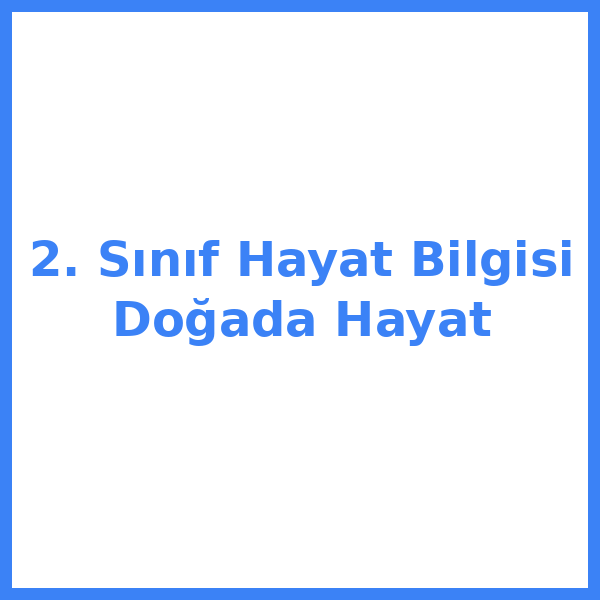 2. Sınıf Hayat Bilgisi Doğada Hayat