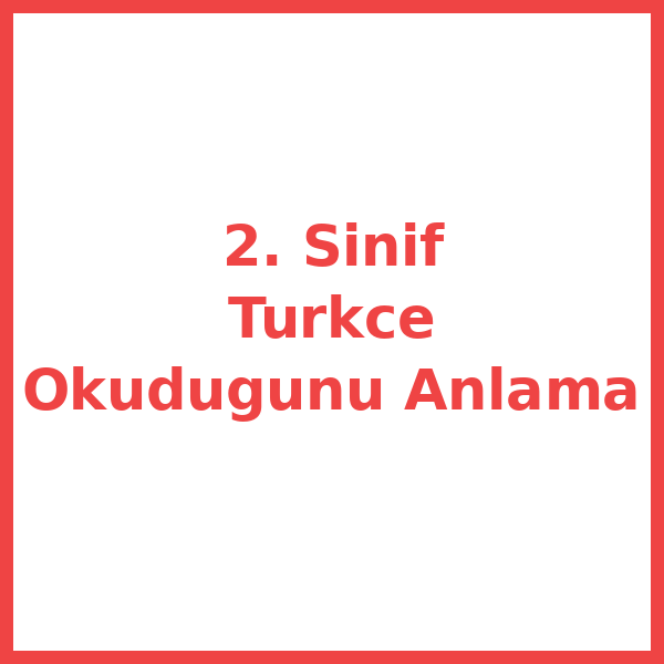 2. Sınıf Türkçe Okuduğunu Anlama Testi 2