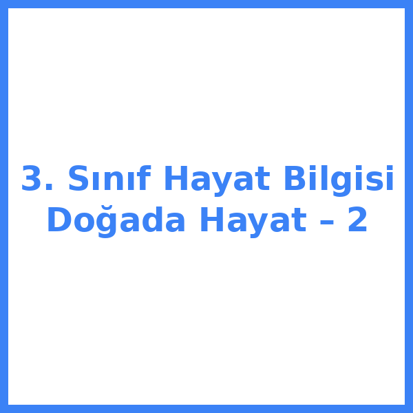 3. Sınıf Hayat Bilgisi Doğada Hayat – 2