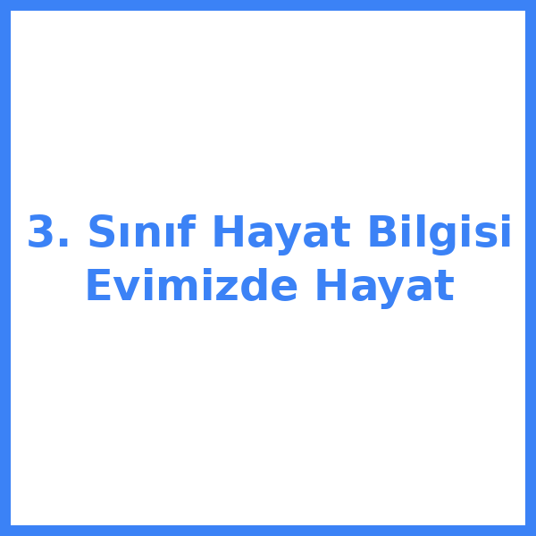 3. Sınıf Hayat Bilgisi Evimizde Hayat