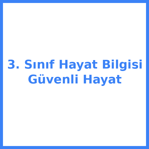 3. Sınıf Hayat Bilgisi Güvenli Hayat