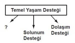 Ehliyet Sınav Soruları - 27 Ekim 2025