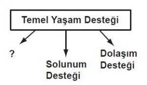 Ehliyet Sınav Soruları - 22 Kasım 2024
