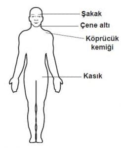 Ehliyet Sınav Soruları - 2 Eylül 2025