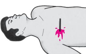 Ehliyet Sınav Soruları - 29 Haziran 2025