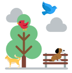 1. Sınıf Matematik Geometrik Cisimler