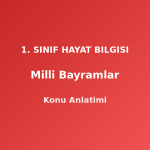 Milli Bayramlar 1. Sınıf Hayat Bilgisi Konu Anlatımı
