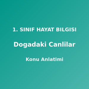 Doğadaki Canlılar 1. Sınıf Hayat Bilgisi Konu Anlatımı
