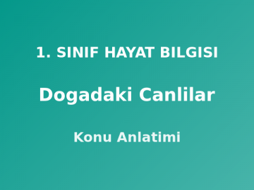 Doğadaki Canlılar 1. Sınıf Hayat Bilgisi Konu Anlatımı