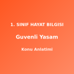 Güvenli Yaşam 1. Sınıf Hayat Bilgisi Konu Anlatımı