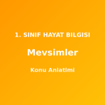 Mevsimler 1. Sınıf Hayat Bilgisi Konu Anlatımı