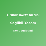 Sağlıklı Yaşam 1. Sınıf Hayat Bilgisi Konu Anlatımı