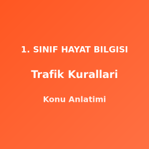 Trafik Kuralları 1. Sınıf Hayat Bilgisi Konu Anlatımı