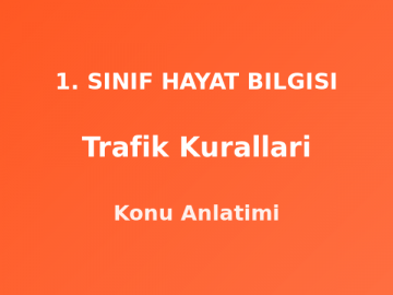 Trafik Kuralları 1. Sınıf Hayat Bilgisi Konu Anlatımı