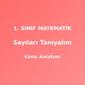 1. Sınıf Matematik Sayıları Tanıyalım Konu Anlatımı