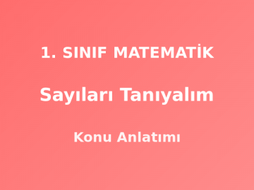 1. Sınıf Matematik Sayıları Tanıyalım Konu Anlatımı