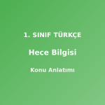 1. Sınıf Türkçe Hece Bilgisi Konu Anlatımı